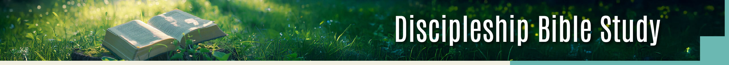 Discipleship Bible Study