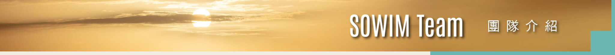 SOWIM Team