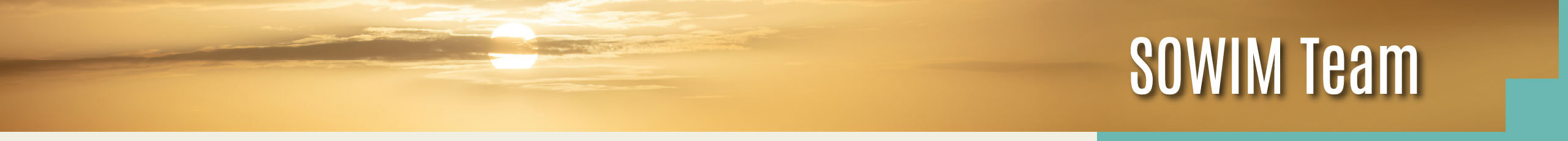 Sowim Team